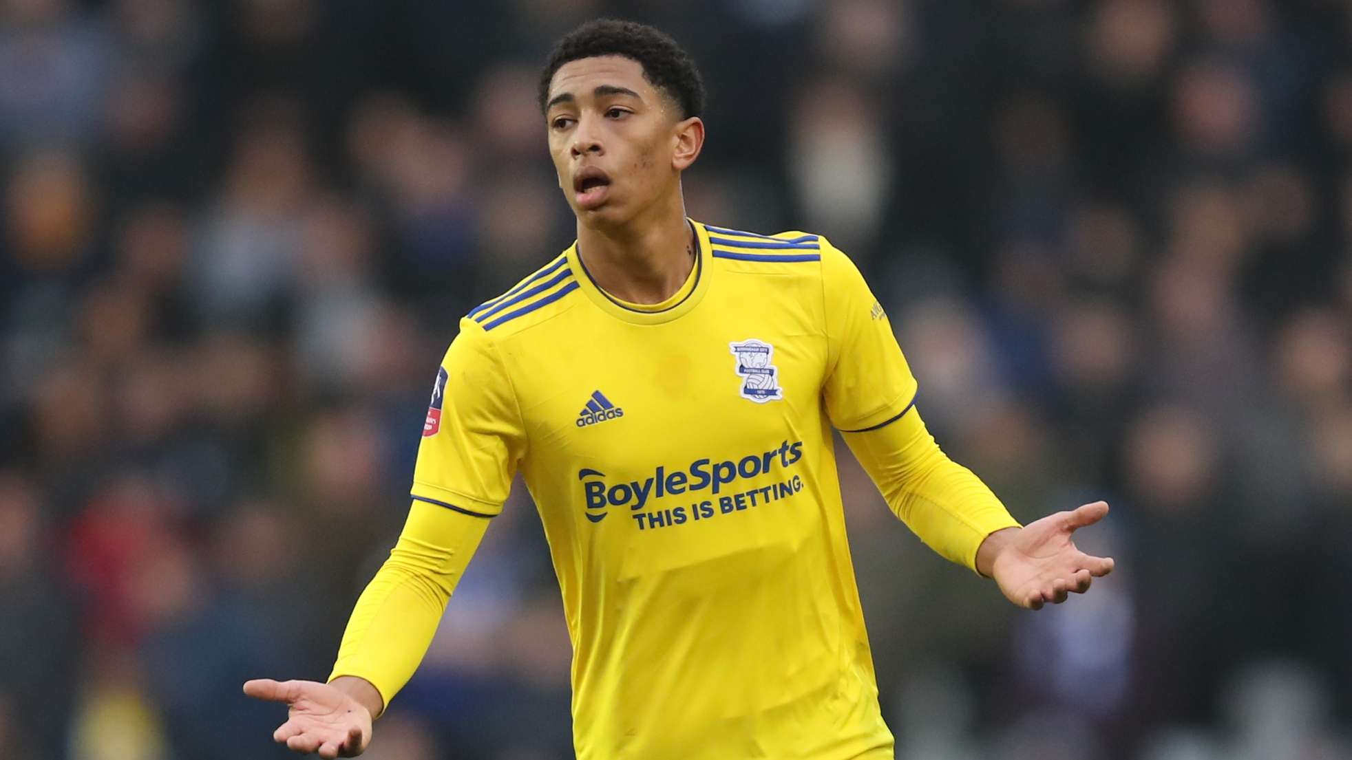 结果并不太 结果并不太