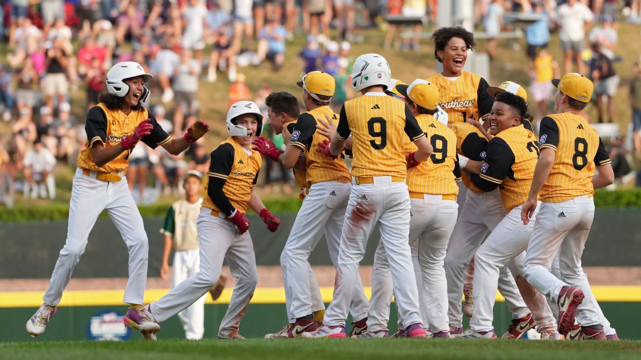 一个全球性 一个全球性